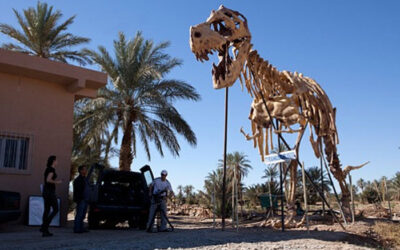 4 Days Tour from Fes to Merzouga Desert